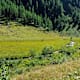 Naturlehrweg Astener Moos