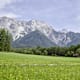 Rundtour am Mieminger Sonnenplateau
