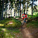 Dias Trail