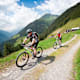 Arni Bike