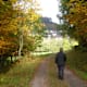 Naturpark Nordschwarzwald - Sprollenhaus - Grünhütte - Wildsee - Kaltenbronn