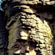 Rundwanderng im Naturschutzgebiet Tanner Moor bei Liebenau