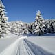 Winterwanderweg Hochmoor