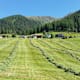 Parc Ela Trek - Etappe 16: Jenisberg - Wiesen Station - Sagatobel - Wiesner Alp - Martrüel
