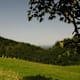 Pattenberg Rundweg über Kirchenweiberl und Weißachtal