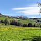 Perlenrundwanderweg - Etappe 5: Von Deutschnofen nach Kardaun