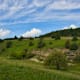 Hochgehberge: „hochgehackert“ - Premiumwanderweg Pfronstetten
