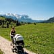 Philosophenweg und Walderlebnispfad