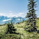 Hohe Tauern Panorama Trail, Etappe 8: Von der Bürglhütte nach Uttendorf