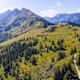 Krahbergzinken
