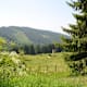 Plankogel Rundweg - Von Lölling nach Knappenberg