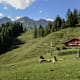 Über die Poschalm zur Mußbachalm