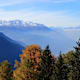 Rosswald - Folluhorn - Rosswald