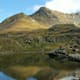 Wildsee