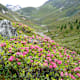 Rundtour Sellrain: Praxmar - Pforzheimer Hütte - Praxmar