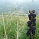 Rundwanderung im Tal der 1.000 Orchideen