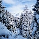 Winterliche Runde am Runstboden