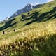 Säumerweg Avers - Etappe 4: Juppa - Soglio