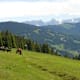 Schattberg Höhenrundweg mit Saalbachkogel