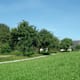 Schönau-Runde - Bad Schallerbach