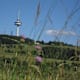 Gipfel-Tour Schotten