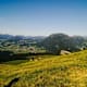 Schwarzenberg-Bödele: Lustenauer Hütte, St. Ilga, Schwarzenberg