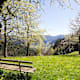 Schwarzwaldsteig in Bad Peterstal-Griesbach - eine Tour für "Weitblicker"