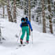 Stubneralm
