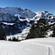 Zieblen