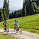 Steinwand Runde