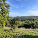 Hegauer Kegelspiel: Stettener Panoramaweg