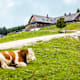Wanderung zur Stoißer Alm von Adlgaß