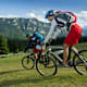 Stoißeralm-Teisenberg Runde
