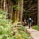 Flow Trail Steinerberg