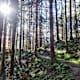 Sunseitnweg im Drautal