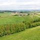 Donausteigrunde: Kirchberger Donausteigrunde