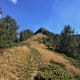 Via Alta Vallemaggia - Etappe 16: Von der Capanna Alpe Canaa zum Salmone