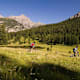 Tarasp