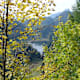 Taubensee Rundweg - Birnbach