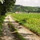 Topformweg - Wallern an der Trattnach
