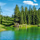 Tragößer Seen-Trilogie - Grüner See, Pfarrerteich und Kreuzteich