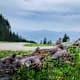 MTB 80 Unternberg Runde