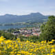 Vom Hauberg zum Lederberger am Mondsee