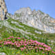 Von der Igltalalm zur Aualm im Großarltal