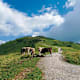 Von der Kanzelwandbahn-Bergstation auf das Fellhorn