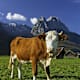 Von Scharnitz nach Garmisch-Partenkirchen