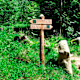 Walderlebnispfad Aschbach