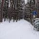 Winterspaziergang durch Gloggnitz