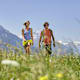 Rundtour Gletscherblick in Igls