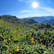 Alpenwanderung Isenthal - Klewenalp